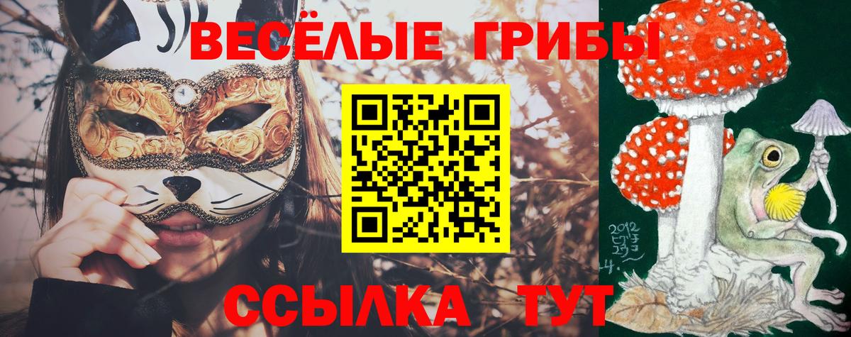 Псилоцибиновые грибы прущие грибы  Вход с VPN  цены   Галлюциногенные грибы GOLDEN TEACHER  Назарово 